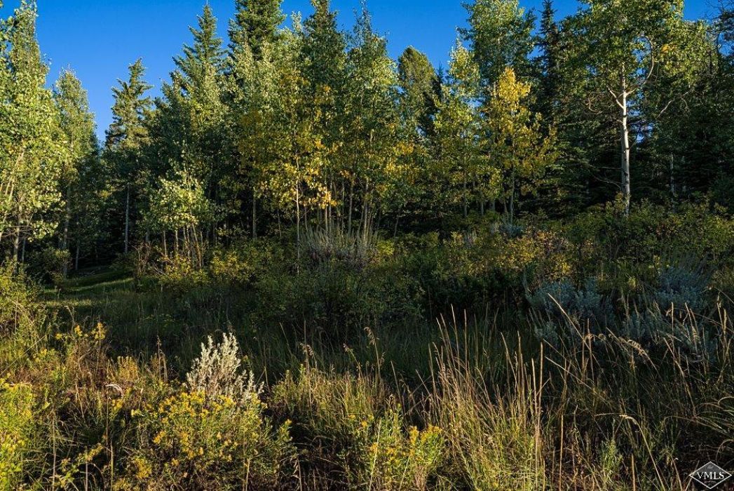 Gateway Real Estate Vail Valley, Colorado Home