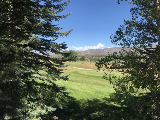170 Wildflower 8